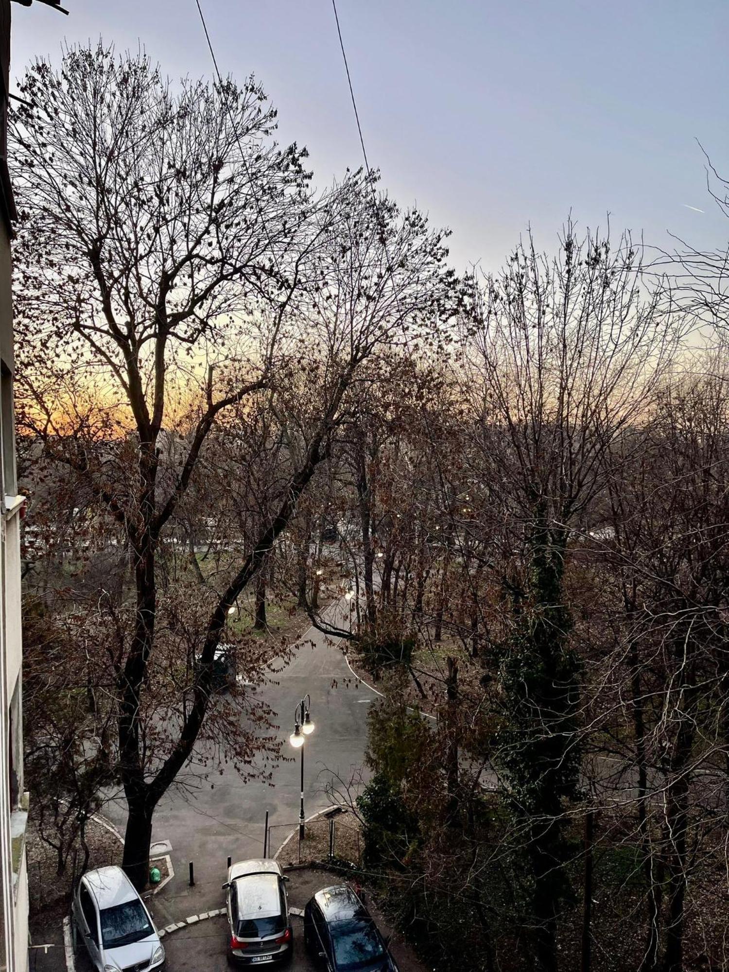 Candy Residence Park Bucureşti Ngoại thất bức ảnh